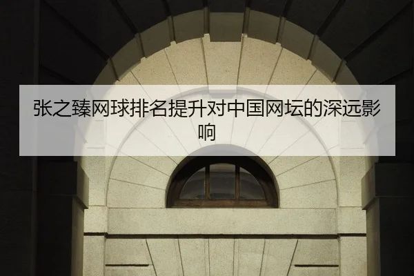 张之臻网球排名提升对中国网坛的深远影响